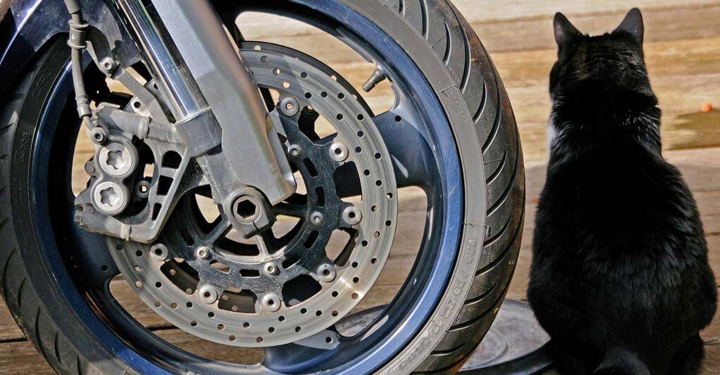 Warum Müssen Sie Jetzt Bremsen Wegen Des Motorrads Wann Motorrad Bremsscheiben wechseln? - Motorradbekleidung.net